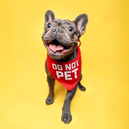 Do Not Pet Dog Bandana (Orange, XS 157)