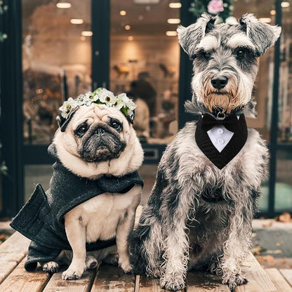 Dog Wedding Bandana, Formal Dog Tuxedo Adjustable Pet Collar with Bow, Small, Medium and Large Wedding Clothing, Birthday Gifts for Dogs (Small, Black)