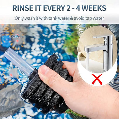 Pawfly Corner Sponge Filter Nano Quiet Betta Fry Shrimp and Small Fish Bio Foam Filter for Tiny Aquariums and Fish Tanks up to 10 Gallons (Air Pump Not Included)