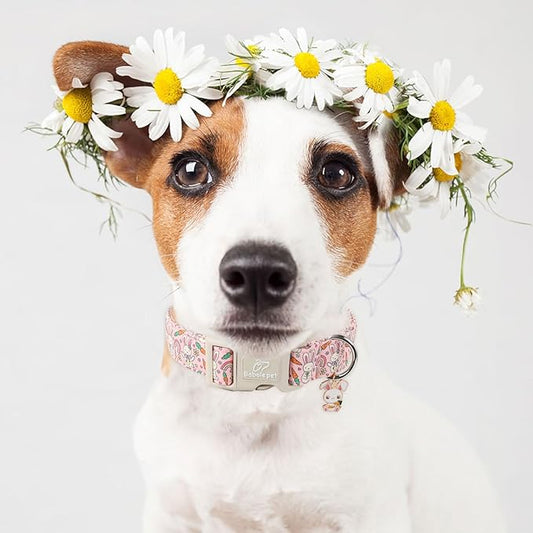Easter Dog Collar for Small Dogs - Pink Girly Bunny Dog Collars, Cute Girl Dogs Easter Collar, Adjustable Female Spring Holiday Pet Collars with Quick Release Buckle S