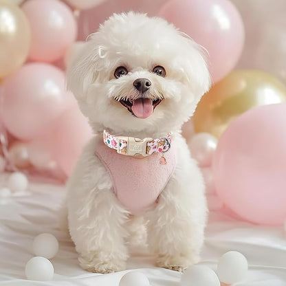 Cute Dinosaur Dog Collar, Adjustable Pink Dino Dog Collars for Small Dogs, Lightweight Quick-Release Buckle Birthday Collar for Boy&Girl Dogs S