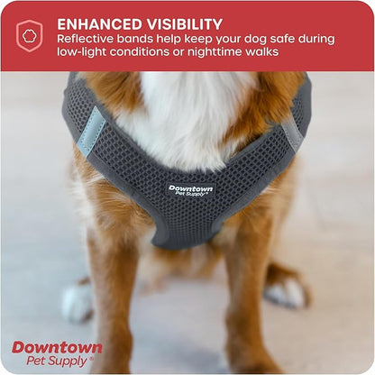 Downtown Pet Supply Step-in Dog Harness – No Pull, Adjustable Padded Mesh with Reflective Trim, Secure Buckle Strap – Comfortable & Breathable Small Dog Harness, Small, Charcoal