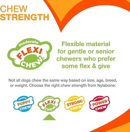 Nylabone Textured Dental Bone Flexi Chew Toy for Dogs, Dog Toys for Moderate Chewers, Chicken Flavor, Medium - Up to 35 lbs, 1 Count