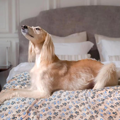 Dog Blankets for Medium Large Dogs, 3 Pack Pet Blanket Washable 41" x 31", Fuzzy Soft Puppy Throw Cover for Kennel Crate Bed
