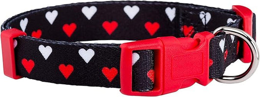 Native Pup Valentine’s Dog Collar- Valentines Day Pet Collars- Valentine Girly Hearts- Pink Red Heart- Cute Boy Girl Puppy Gift- Adjustable for Small, Medium, Large Breeds (White & Red Hearts, Small)