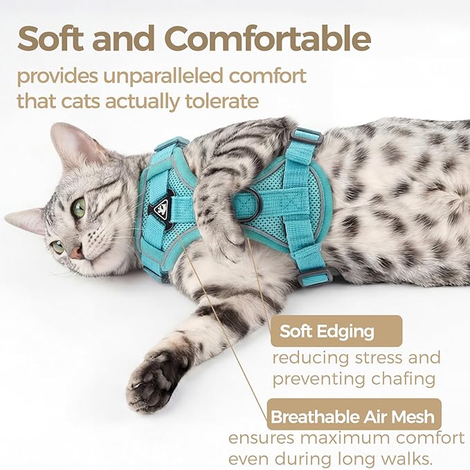 Cat Harness and Leash Set Escape Proof Tactical Small Kitten Harness Emotional Support Cat Vest, Turquoise, S