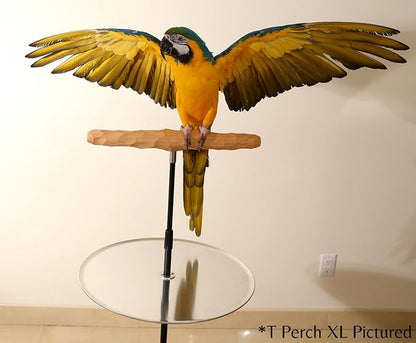 Parrot Training Perch Stand with Potty Tray (T Perch Hardwood, Large)