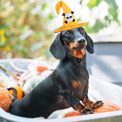 Lionheart glory Halloween Dog Hat Skull Headdress Funny Adjustable Soft Cute Pet Headgear Witch Hat for Dog Cat Dog Party Accessories Costume