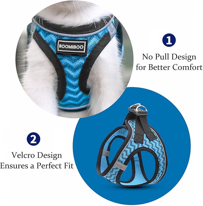 Dog Harness with Leash Set, No Pull Adjustable Reflective Step-in Puppy Pet Vest Harnesses for Small Medium Large Dogs and Cats,Sky Blue L