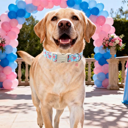 DOGWONG Blue Heart Dog Collar, Cute Valentine Collar, Valentine's Day Dog Collar with Strong Plastic Buckle for Small Medium Large Dogs,M