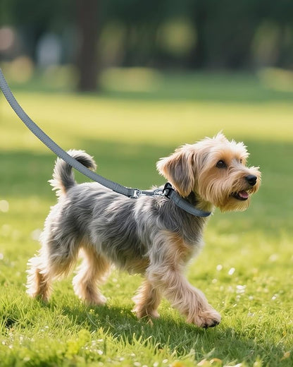 Joytale Small Dog Collar, Reflective and Adjustable Nylon Collar with Quick-Release Buckle, Lightweight No-Choke Design for Small Dogs, Gray, 3/4" Width