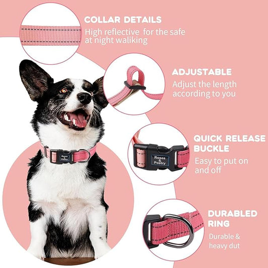 Roses&Poetry Small Dog Collar Girl Reflective with Pink Gradient Color, Adjustable Pink Puppy Collar Tiny for Small Medium Large Dogs (Pink Gradient-S)