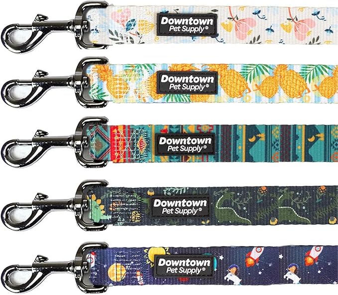Downtown Pet Supply 5ft Heavy-Duty Dog Leash - Padded Comfort Handle & Stainless Steel Fastener - Durable Dog Training Leash - Floral - 1in Wide