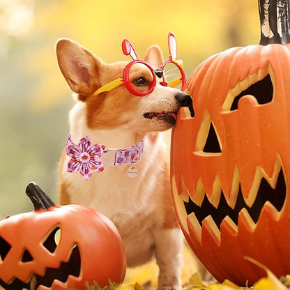 Halloween Pumpkin Dog Collar with Flower, Pink Halloween Puppy Flower Collar with Adjustable Metal Buckle,Fancy Halloween Dog Collar Bowtie Gift for Girl Boy Dog,L