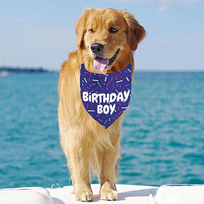 Birthday Boy Dog Bandanas 1 Pack, Blue Birthday Dog Scarfs for Boys, Pet Scarves for Boy HBD Bandanas for Small Medium Large Dogs (Birthday Boy, One Size)