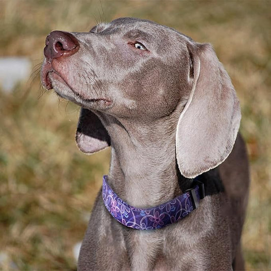 QQPETS Adjustable Soft Dog Collar: Print Flower Pink Multicolor Cute Patterns for XS Small Medium Large Pet Girl Boy Puppy Walking Running Training