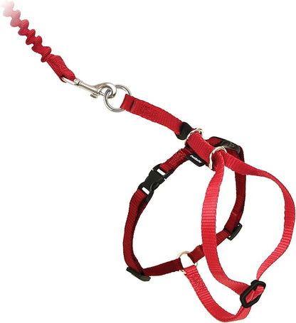 PetSafe Come With Me Kitty Cat Harness & Bungee Leash - Comfortable Cat Harness with Lightweight Bungee Leash for Outdoor Fun - More Secure Walks - Large - Red