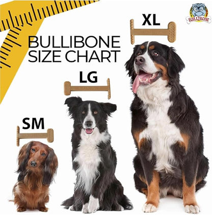 Bullibone Nylon Dog Chew Toy for Aggressive Chewers - Dental Hygiene Bone with Bacon Flavor, Durable Tough Chew Toys for Small Dogs, Indestructible Dog Bone - 3 Pack