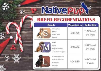 Native Pup Christmas Dog Collar- Winter Holiday Collars for Pets- Xmas Gift for Puppy- Santa, Reindeer, Snowman, Candy Cane, Red Green- Girl Boy- Small, Medium, Large Breeds (Candy Cane, Small)