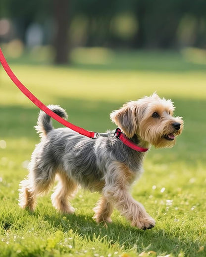 Joytale Small Dog Collar, Reflective and Adjustable Nylon Collar with Quick-Release Buckle, Lightweight No-Choke Design for Small Dogs, Red, 3/4" Width