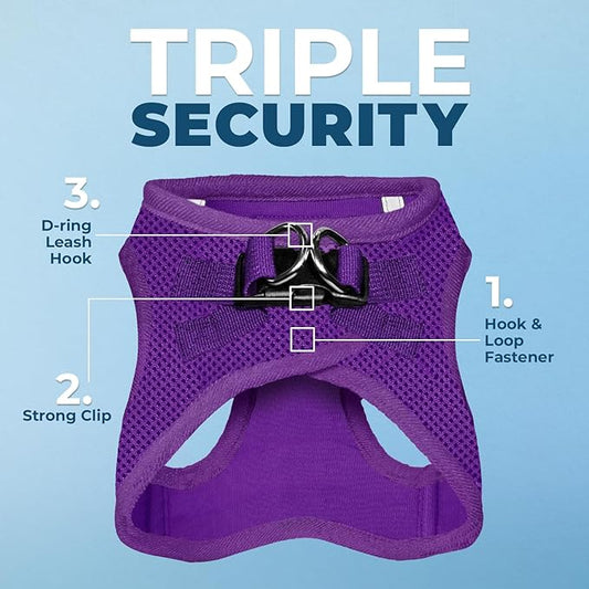 Best Pet Supplies Voyager Step-in Air Harness - All Weather Mesh, Reflective, No Pull Harness for Dogs, Cats - Secure with Hook & Loop Fastener, Buckle, Double D-Rings - Purple, XXXS