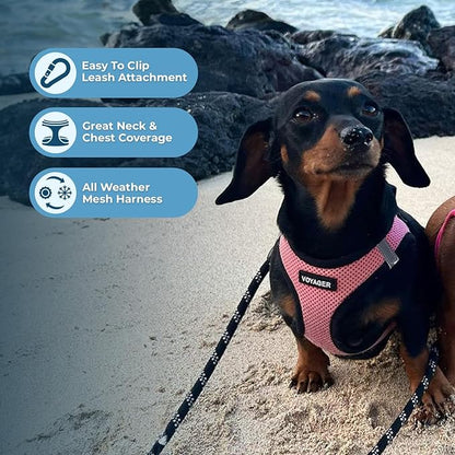 Best Pet Supplies Voyager Step-in Air All Weather Mesh Harness and Reflective Dog 5 ft Leash Combo with Neoprene Handle, for Small, Medium and Large Breed Puppies - 1Pink Base, XL