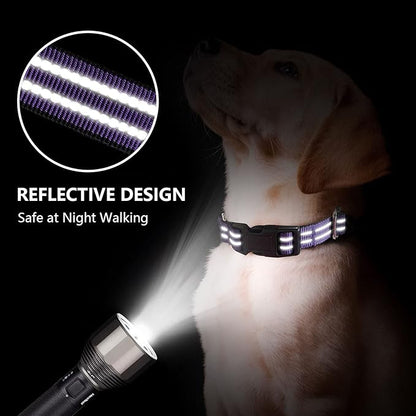 Martingale Dog Collar, Adjustable Nylon Reflective Collar with Quick Release Buckle (Purple, Extra Large)