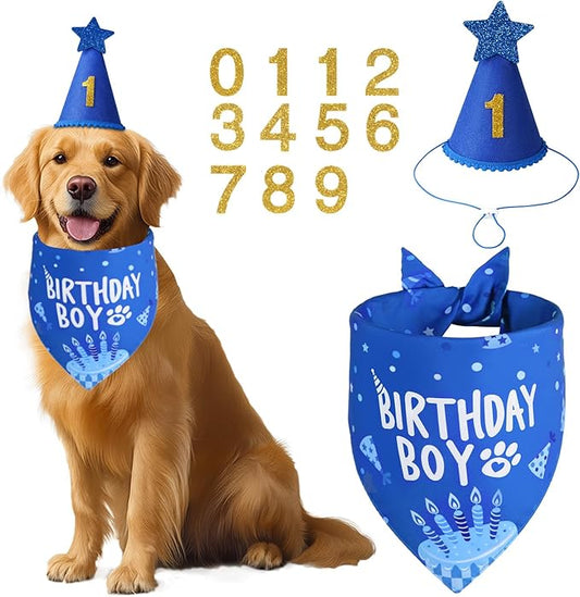 Dog Birthday Party Supplies, Blue Dog Birthday Set with Hat Bandana Numbers for Small Boy Pets Puppy