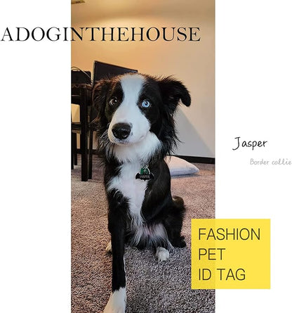 316 Surgical Grade Stainless Steel Personalized Dog & Cat ID Tags - Engraved Name or Text for Pet Collar Accessories, Original Funny Shapes (Triangular)