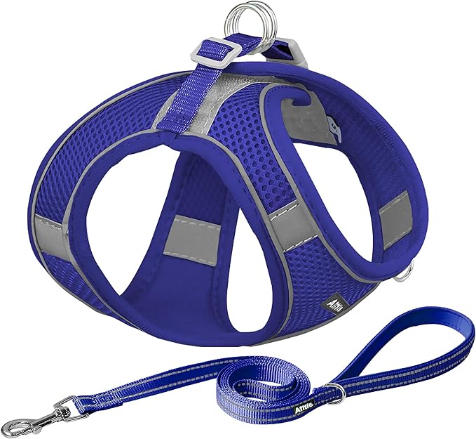 AIITLE Step in Dog Harness and Leash Set - No Pull Escape Proof Vest Harnesses with Soft Mesh and Reflective Bands, Adjustable Pet Outdoor Harnesses for Small and Medium Dogs Royal Blue M