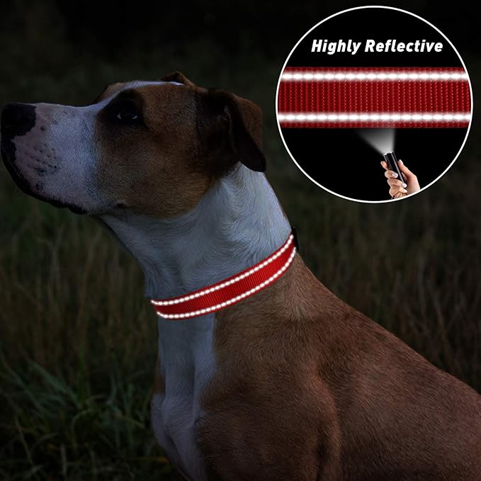 TagME Reflective Nylon Dog Collars, Adjustable Classic Pet Collar with Quick Release Buckle for Small Dogs, Red, 3/4" Width