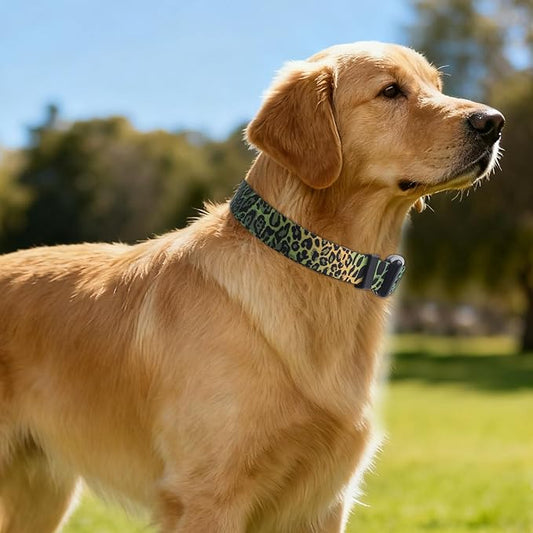 QQPETS Adjustable Soft Dog Collar: Print Flower Pink Multicolor Cute Patterns for XS Small Medium Large Pet Girl Boy Puppy Walking Running Training