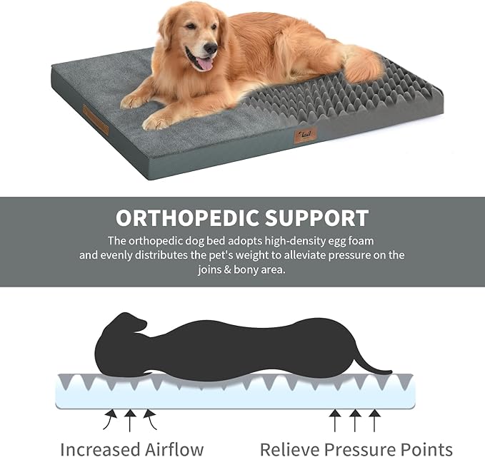 Large Comfy Washable Dog Bed, Orthopedic Egg Crate Foam Dog Crate Mat for Large Dogs with Removable Cover, 41x27 Inch, Gray