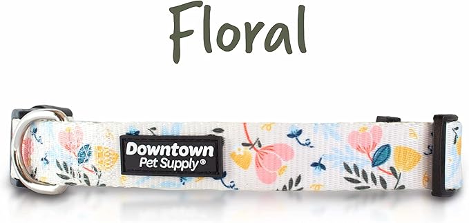 Downtown Pet Supply - Best, Cute & Fancy Dog Collar - Lightweight Adjustable Dog Collar with Quick Buckle & D-Ring - Hand Wash Safe - Floral - S - Small Dog Collar