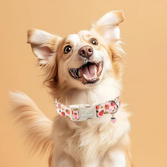 Strawberry Dog Collar for Large Dogs - Cute Spring Pink Dog Collars, Summer Pastel Puppy Collars, Soft Adjustable Boy Girl Dogs Collar with Quick-Release Buckle XL