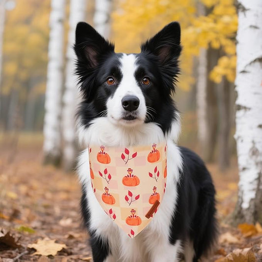 ADOGGYGO Thanksgiving Dog Bandanas 2 Pack, Reversible Turkey Pumpkin Pet Scarf Bib, Adjustable Fit Orange Thanksgiving Bandana for Medium Large Dogs (Large)