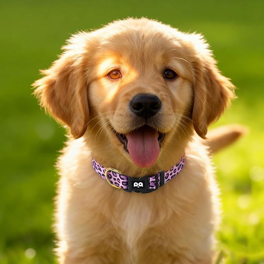 QQPETS Adjustable Soft Dog Collar: Print Flower Pink Multicolor Cute Patterns for XS Small Medium Large Pet Girl Boy Puppy Walking Running Training