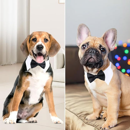 Segarty Black Bow Tie Dog Collar for Neck Girths 10.2-12.6 in, Tux Bowtie with Handcrafted Adjustable White Collar Formal Pet Cats Puppies Necktie for Wedding Birthday Party