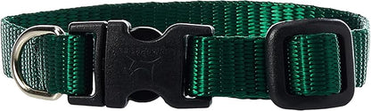 LupinePet Basics 1/2" Green 6-9" Adjustable Collar for Extra Small Dogs
