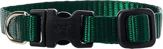 LupinePet Basics 1/2" Green 6-9" Adjustable Collar for Extra Small Dogs