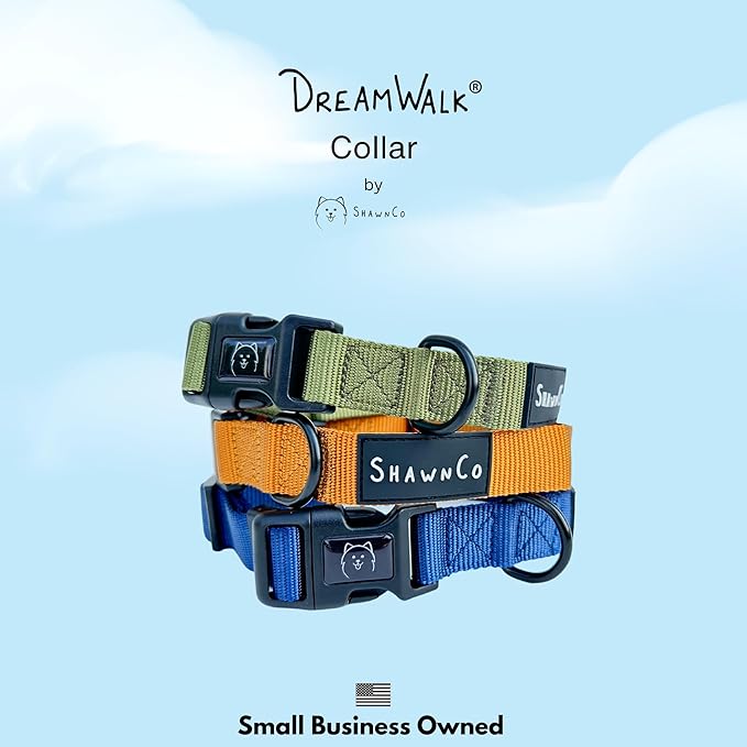 ShawnCo Dream Walk Dog Collar- Premium, Adjustable and Comfortable Pet Collar for Small, Medium, Large and Extra Large Dogs (Electric Blue,S)