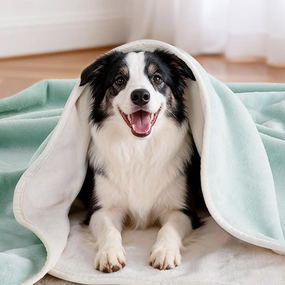 LOOBANI Waterproof Dog Blanket for Couch: Reversible Flannel Bed Blanket for Medium Large Dogs Liquid Proof, Soft Throw Blanket Couch Cover Protector for Sofa, Crate, Travel, Picnic, 50" x 60", Green