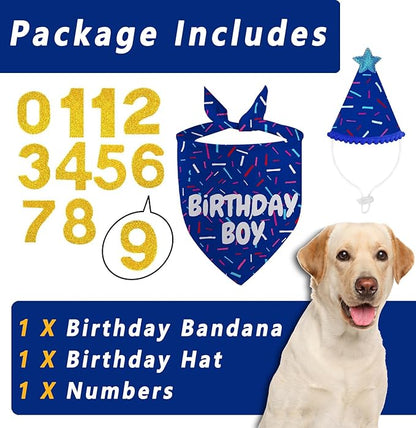 Dog Birthday Bandana Set, Blue Birthday Boy Decorations, HBD Party Supplies with Hat Kerchief Numbers for Pets (Blue)