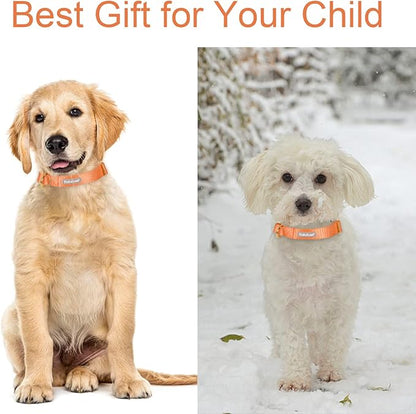Nylon Dog Collar - Adjustable Orange Soft Webbing Dog Collars for Small Medium Large Dogs Boy Girl Puppy Collar with Safety Metal Buckle XL