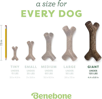 Benebone Maplestick Durable Dog Chew Toy for Aggressive Chewers, Real Maplewood, Made in USA, Giant