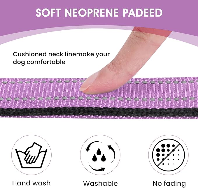 Reflective Dog Collar Padded with Soft Neoprene Breathable Quick Release Basic Dog Collars for Medium Large Dogs Lavender