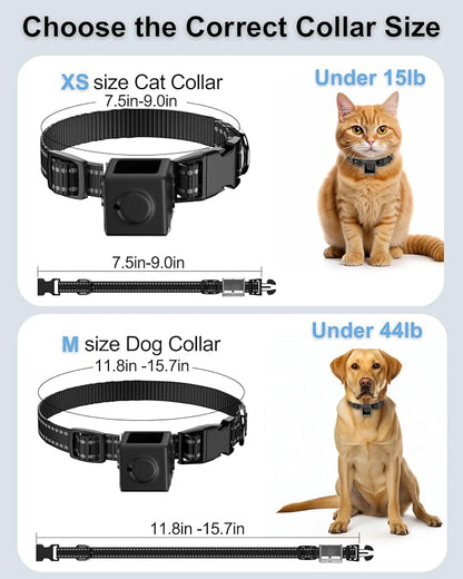 Dog Camera Collar 1080P HD Video Recording Pet POV Cam, NO WiFi NO APP, Body Camera for Dogs(No Micro-SD Card Included)