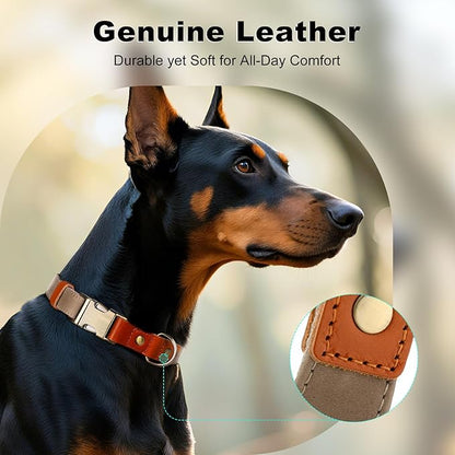Plutus Pet Genuine Leather & Hemp Dog Collar – Adjustable Heavy Duty Pet Collar with Quick Release Metal Buckle, Soft & Stylish for Puppy and Small, Medium, Large Dogs (Ash Brown, M)