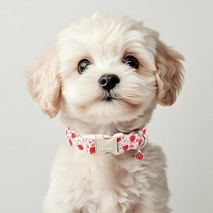 Lucky Ladybug Dog Collar for Giant Large Dogs - Sweet Pink Girl Dog Collars, Lightweight Adjustable Spring Garden Mom Dogs Collars with Quick Release Buckle XL