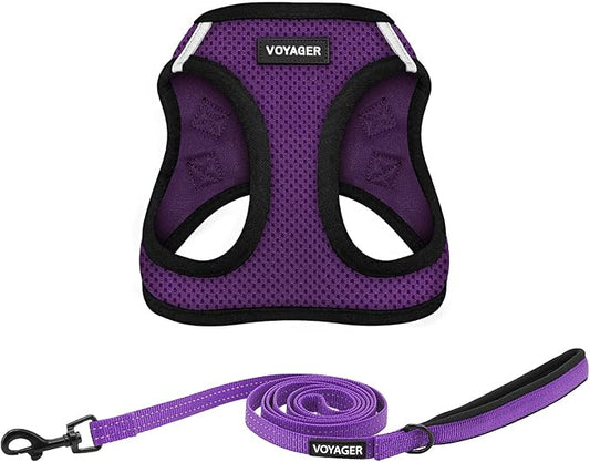 Best Pet Supplies Voyager Step-in Air All Weather Mesh Harness and Reflective Dog 5 ft Leash Combo with Neoprene Handle, for Small, Medium and Large Breed Puppies - Purple/Black Trim, Large